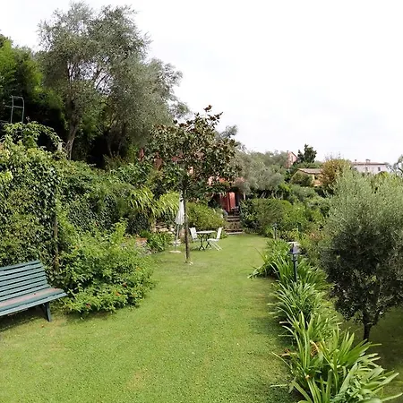 Glicine Santa Margherita Ligure