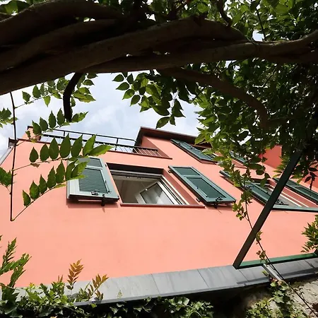 Glicine Santa Margherita Ligure