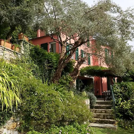 Glicine Santa Margherita Ligure
