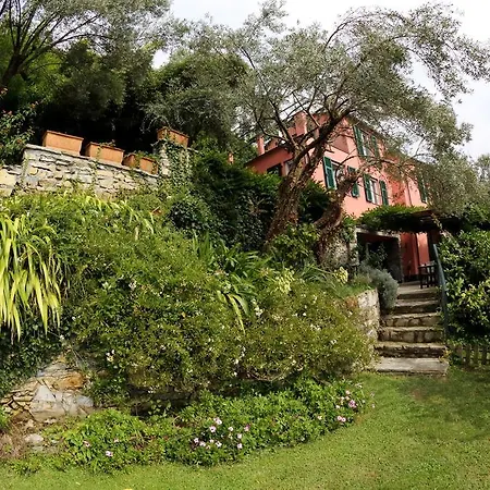 Vila Glicine