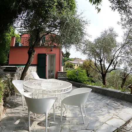 Glicine Santa Margherita Ligure